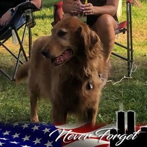 Meet your Posher, Eva